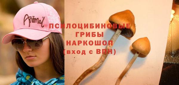 метамфетамин Медногорск
