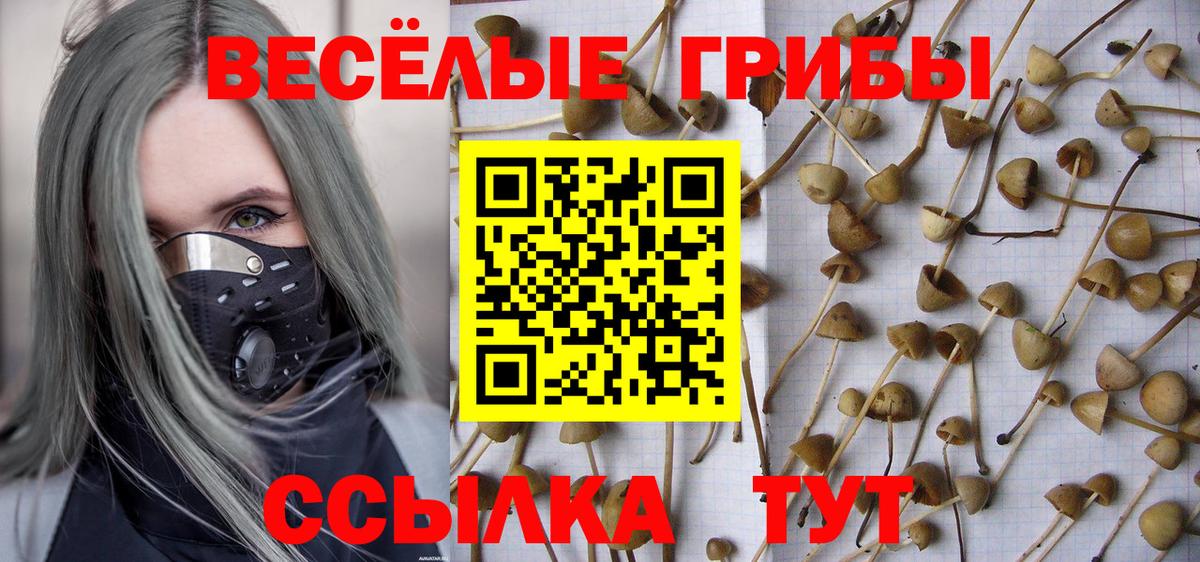 Псилоцибиновые грибы ЛСД Тверь