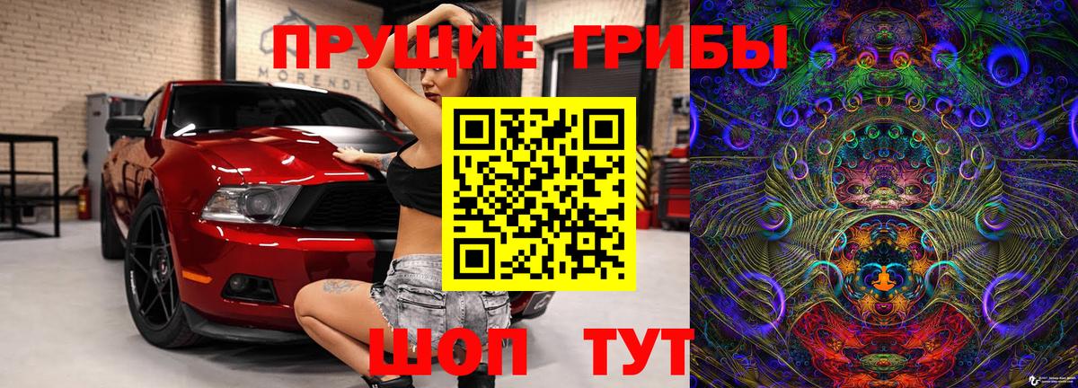 Псилоцибиновые грибы прущие грибы  Тверь 