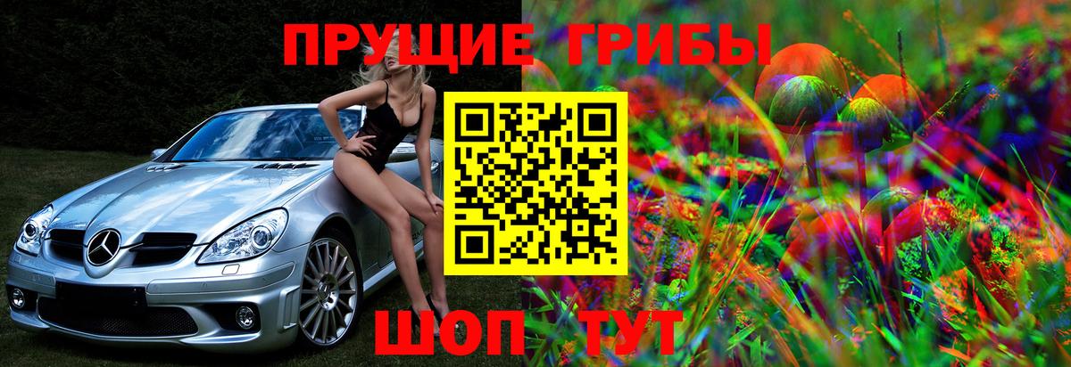 купить наркоту  Псилоцибиновые грибы Psilocybine cubensis  Вход с VPN  Тверь 