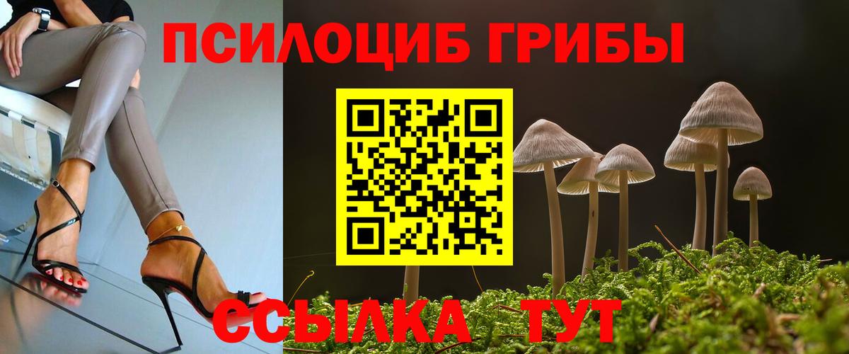 Галлюциногенные грибы GOLDEN TEACHER Тверь