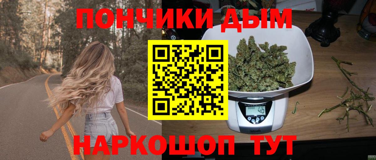 МАРИХУАНА ГИДРОПОН  Шишки марихуана план  Каннабис план  Тверь 